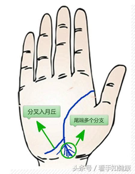 生命線分兩條|手相算命生命線分叉圖解